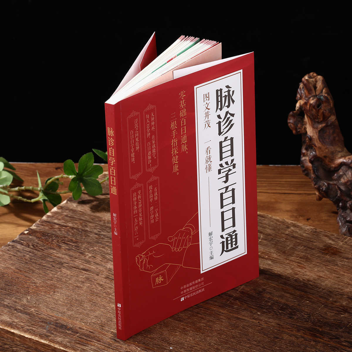 Pulse Diagnosis Self Study Hun - Health & Wellness Programs 评论和价格